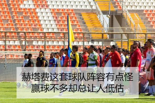 he-ta-fei-zhe-tao-qiu-dui-zhen-rong-you-dian-guai-ying-qiu-bu-duo-que-zong-rang-ren-di-gu-2-846.jpg