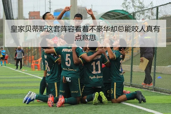 huang-jia-bei-di-si-zhe-tao-zhen-rong-kan-zhe-bu-hao-hua-que-zong-neng-yao-ren-zhen-you-dian-yi-si-2-911.jpg
