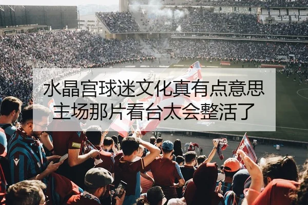 水晶宫球迷文化真有点意思 主场那片看台太会整活了