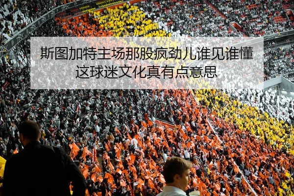 斯图加特主场那股疯劲儿谁见谁懂 这球迷文化真有点意思