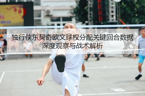 独行侠东契奇欧文球权分配关键回合数据深度观察与战术解析