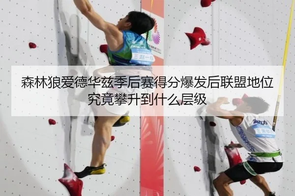森林狼爱德华兹季后赛得分爆发后联盟地位究竟攀升到什么层级