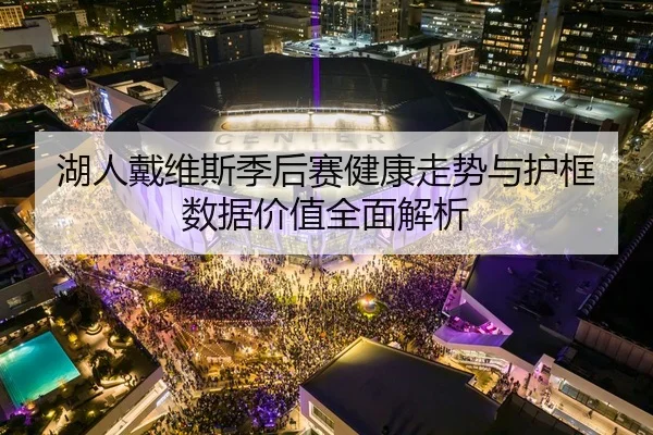 湖人戴维斯季后赛健康走势与护框数据价值全面解析