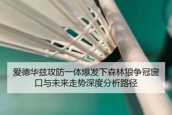 爱德华兹攻防一体爆发下森林狼争冠窗口与未来走势深度分析路径