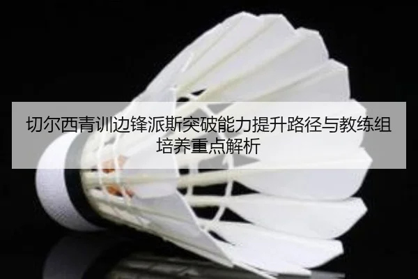 切尔西青训边锋派斯突破能力提升路径与教练组培养重点解析